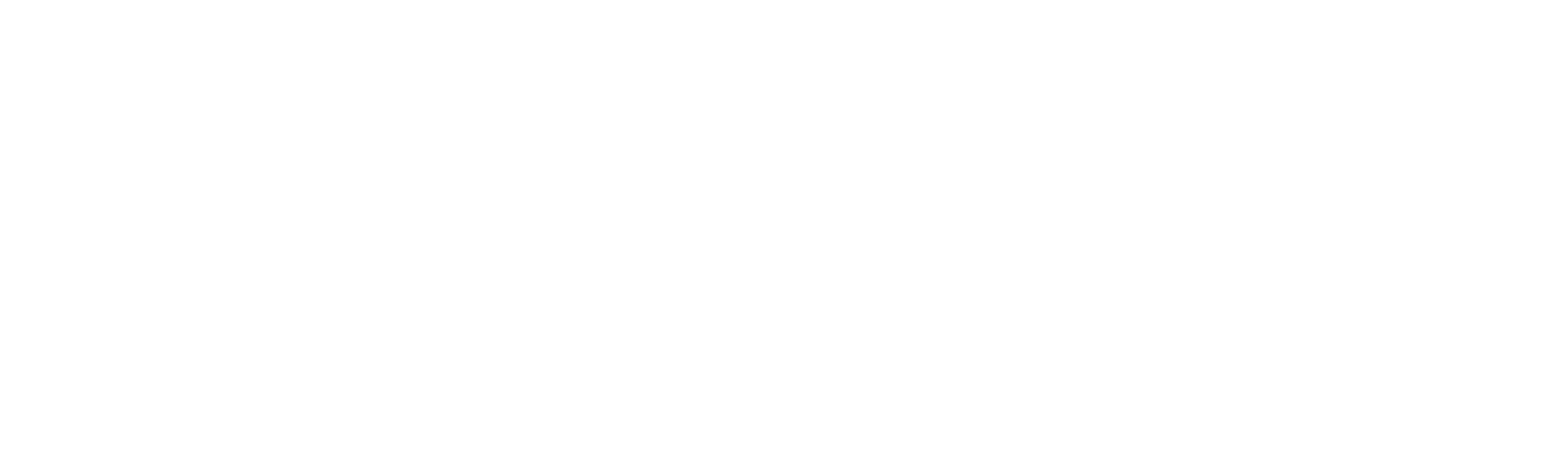 DeepLit Logo
